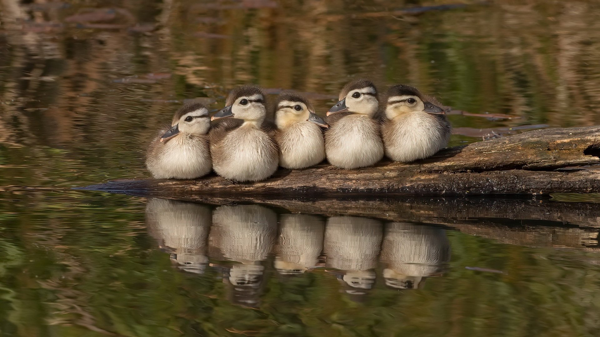 爱游戏综合娱乐-“青少年足球科技创新实验班在全国推广，激发创造力”，青少年足球学校