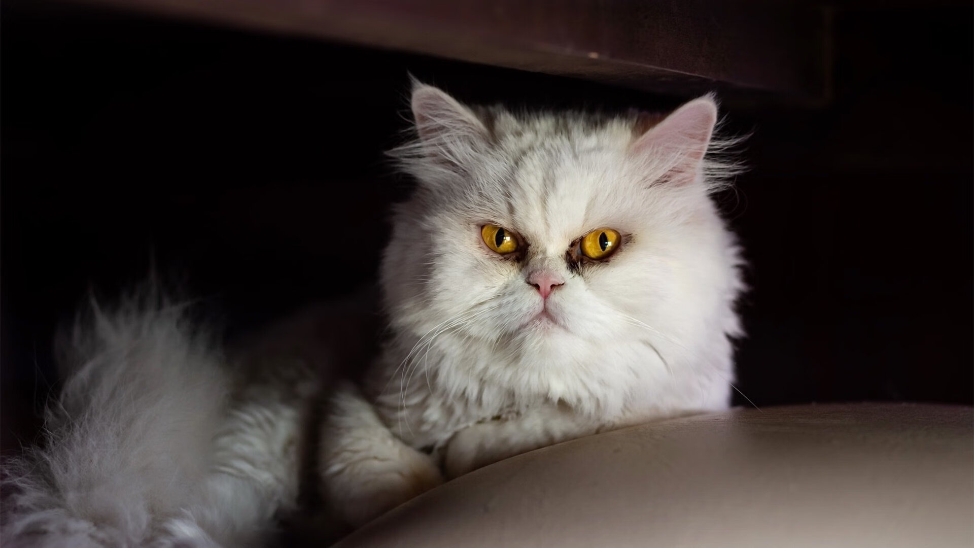 区块链交易:联盟新兴技术,打造公平、安全的交易环境,区块链联盟链有哪些