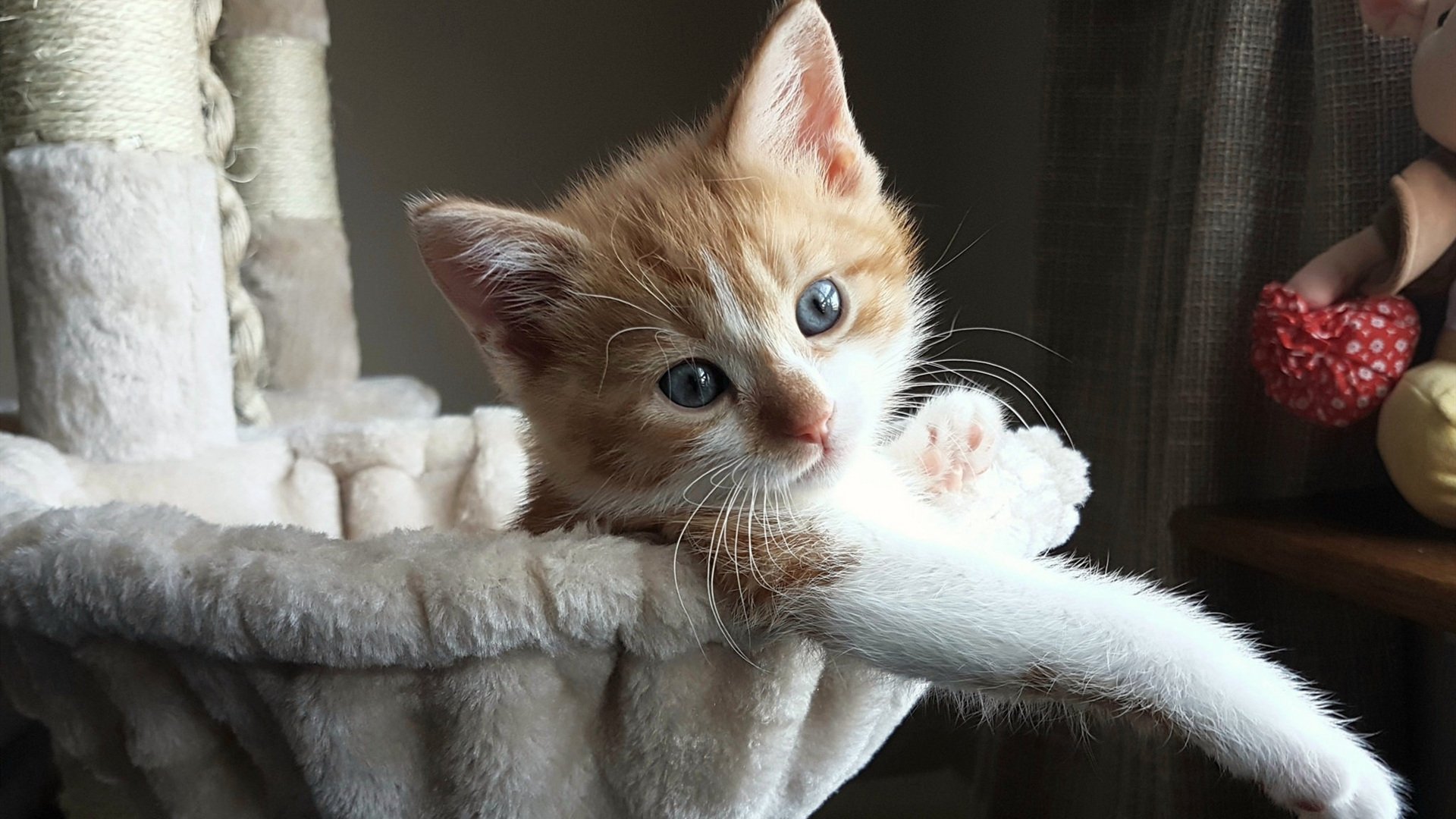 爱游戏 电竞-积分榜背后：球队策略与转会的关系分析，足球转会机制