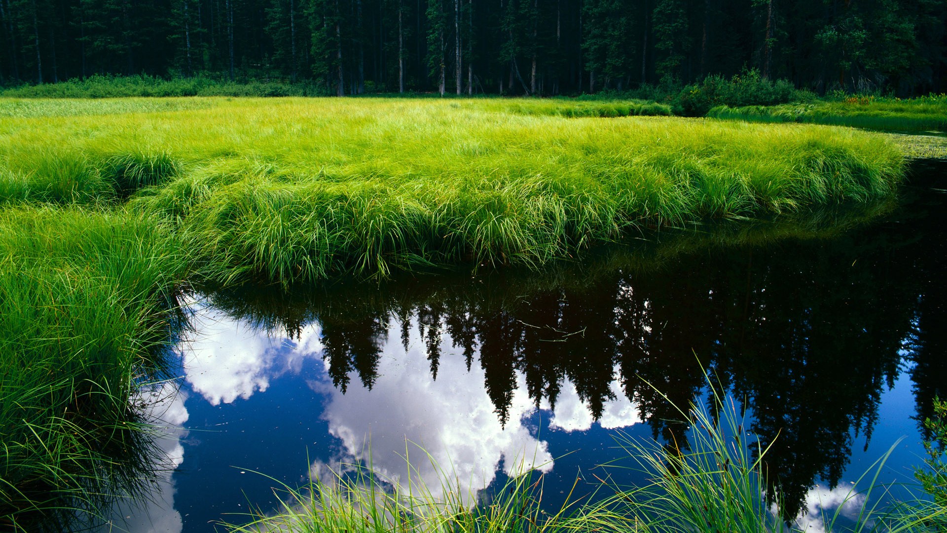 爱游戏 电竞-逆转“神奇之夜”：足球史上最难以置信的翻盘，足坛逆转之王