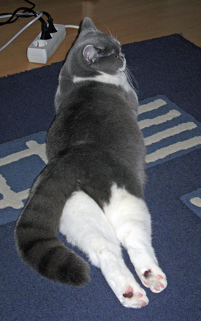 K联赛最新积分榜:蔚山继续领跑,2020年k联赛积分排行榜