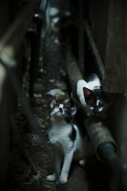 国民队新赛季目标明确，国民队新赛季目标明确了吗