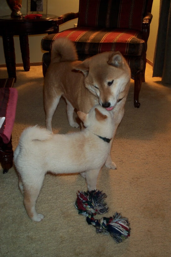 爱游戏app下载-水晶宫客场胜出，一扫近况颓势！，水晶宫什么水平