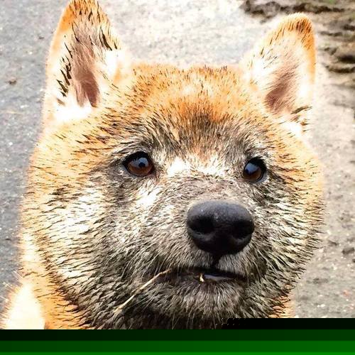 激动人心!足球场上将掀起一番波澜,足球赛场上