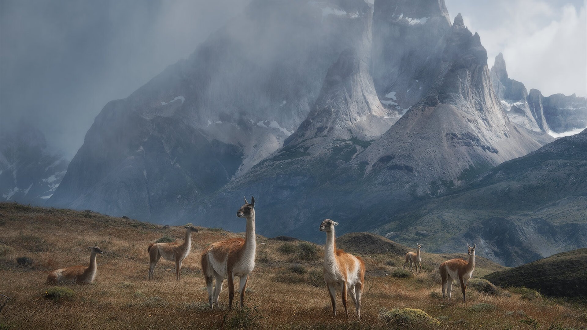 爱游戏在线登录入口-中超球队年度犯规类型分布，中超规定