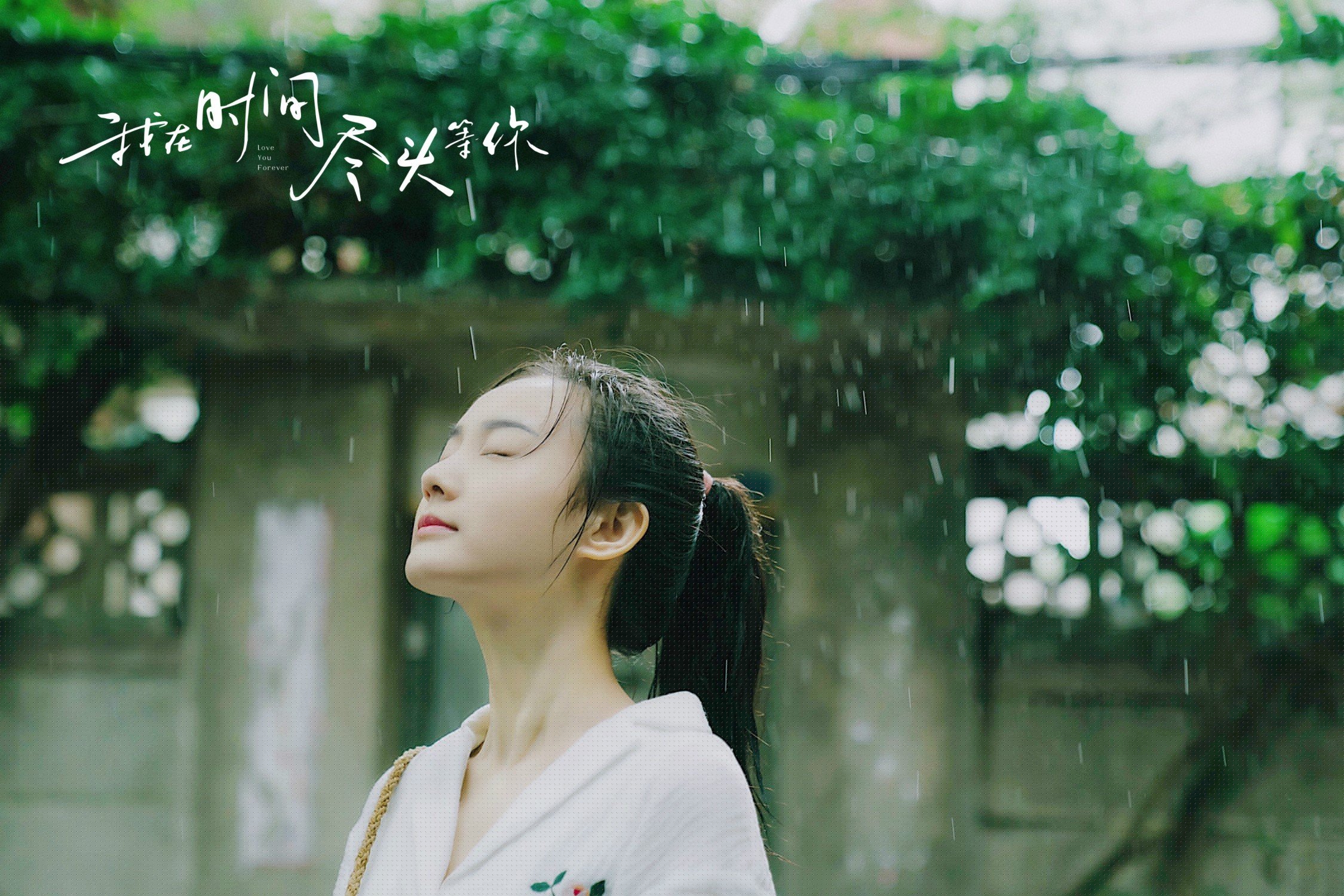 体育新闻内容偏差与真实性审查机制研究,体育新闻的四个要素和要求