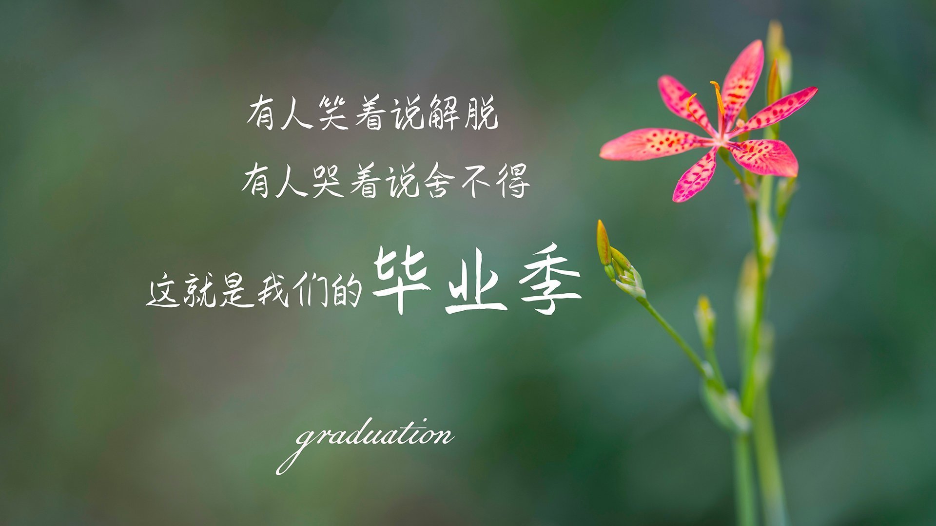 国足后场组织方式模型对比,足球后场组织进攻