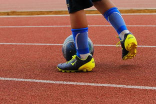 爱游戏 电竞-意甲年轻球员防守意识发展趋势研究，意甲年轻后卫