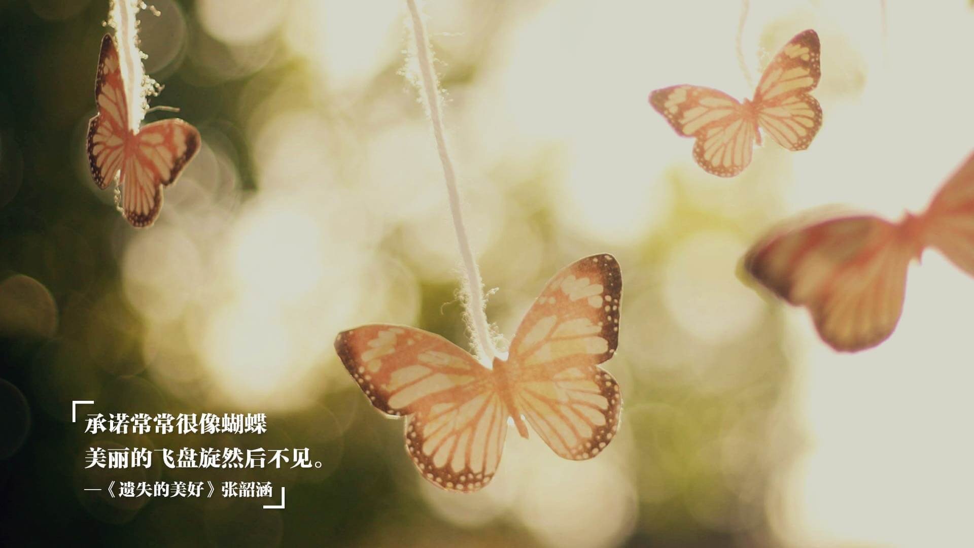 AYX GAME-乒乓球世界杯决赛精彩落幕，中国队再创辉煌，乒乓球世界杯决赛精彩落幕,中国队再创辉煌