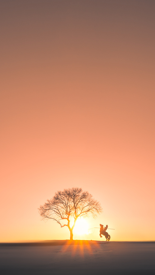 爱游戏中国官方登录入口网站-希腊女篮在欧洲锦标赛中再登宝座，诠释传承与创新，希腊女球迷