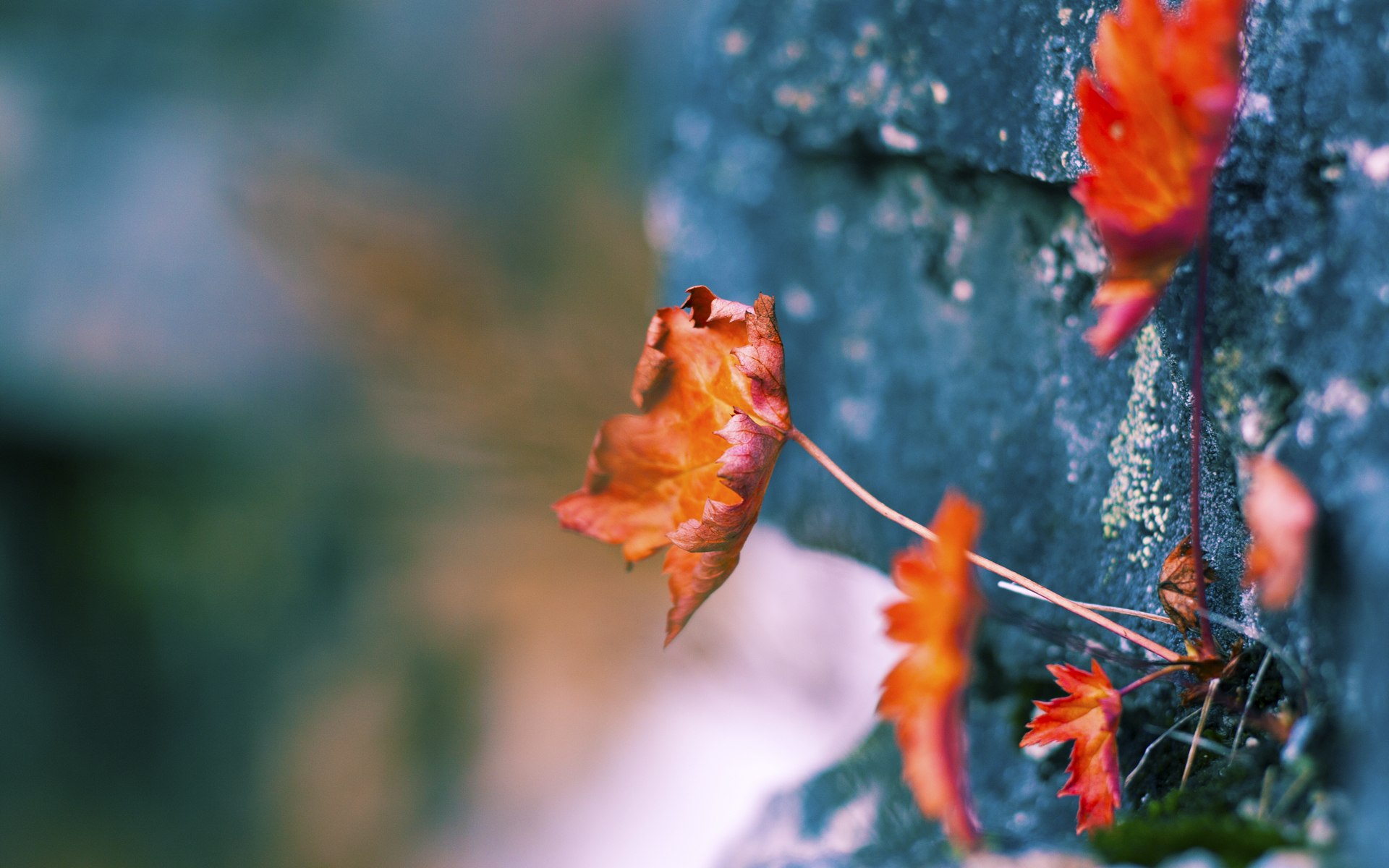 爱游戏官方网站-德甲速度之王：快如闪电，闪耀全场！，德甲冲刺速度最快球员